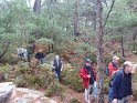 2012-10-11 10-40-00 Rando Fontainebleau-matin DLe